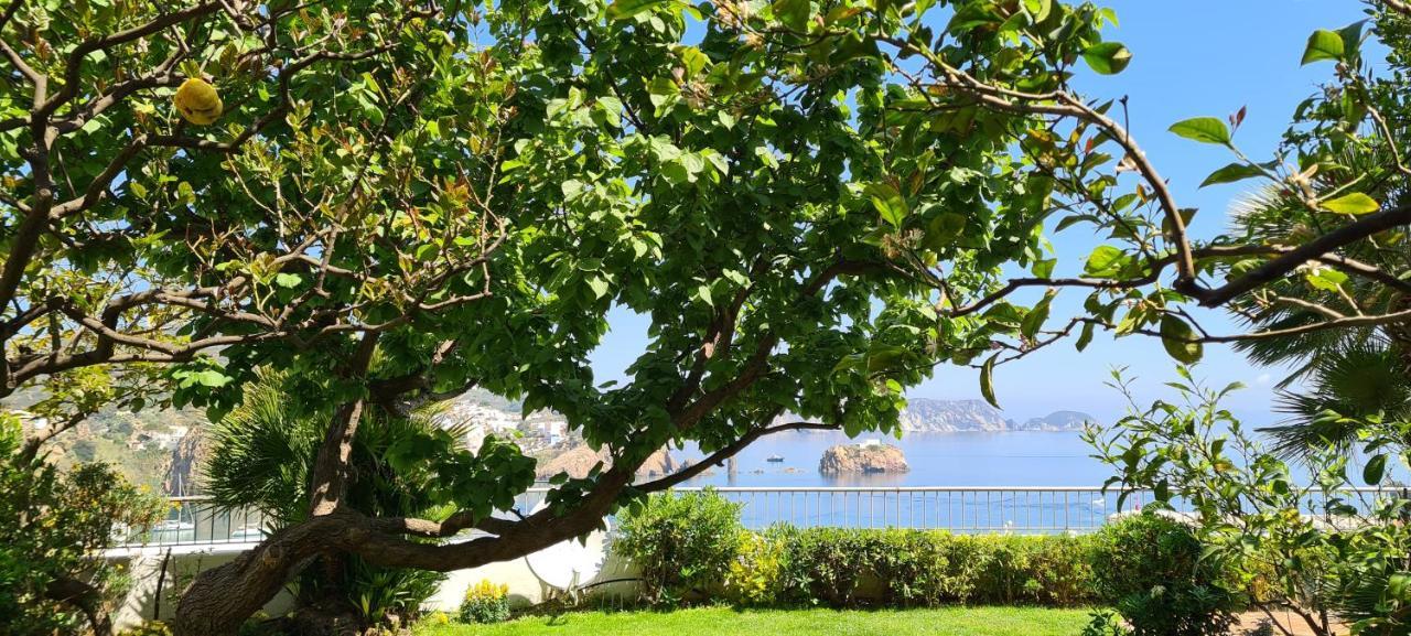 La Limonaia A Mare Hotel Ponza Bagian luar foto