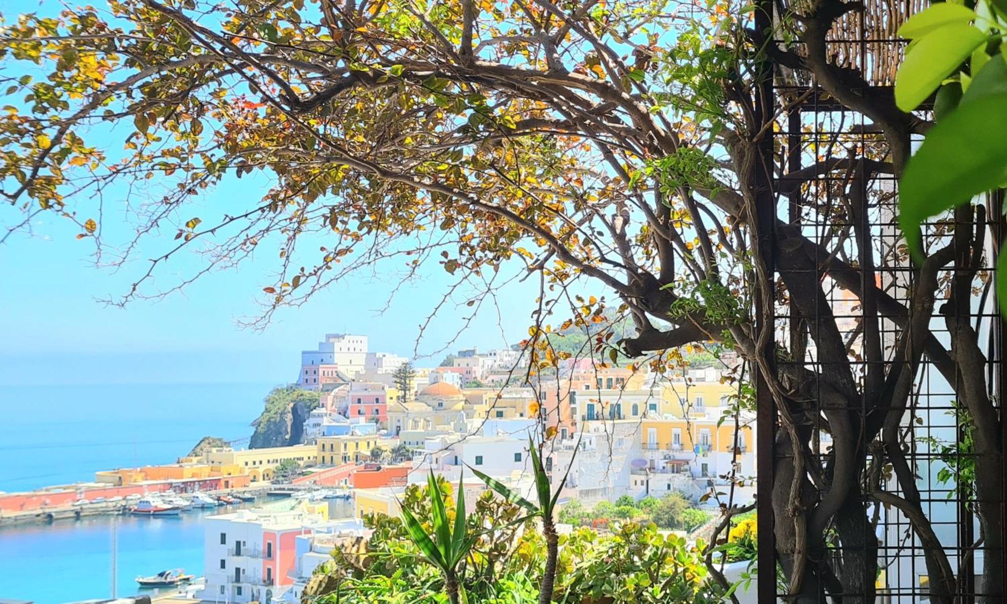 La Limonaia A Mare Hotel Ponza Bagian luar foto